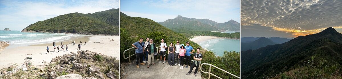 Quantum Many-Body & Numerics