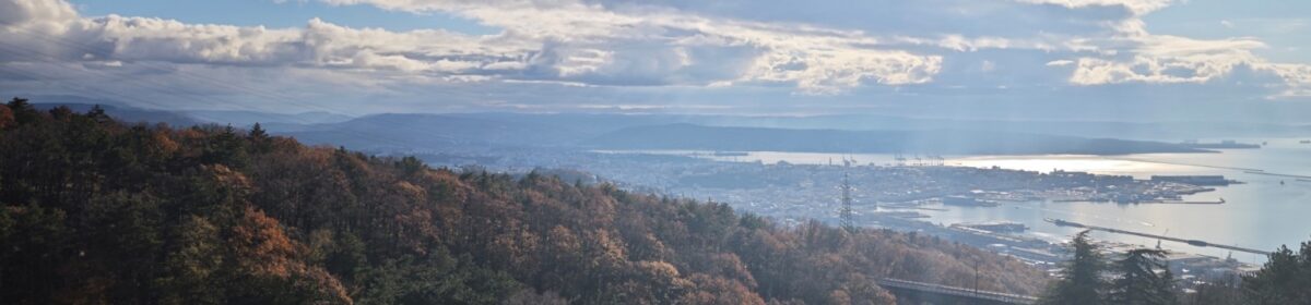 Quantum Many-Body & Numerics